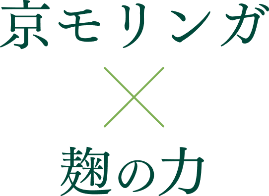 京モリンガ × 麹の力
