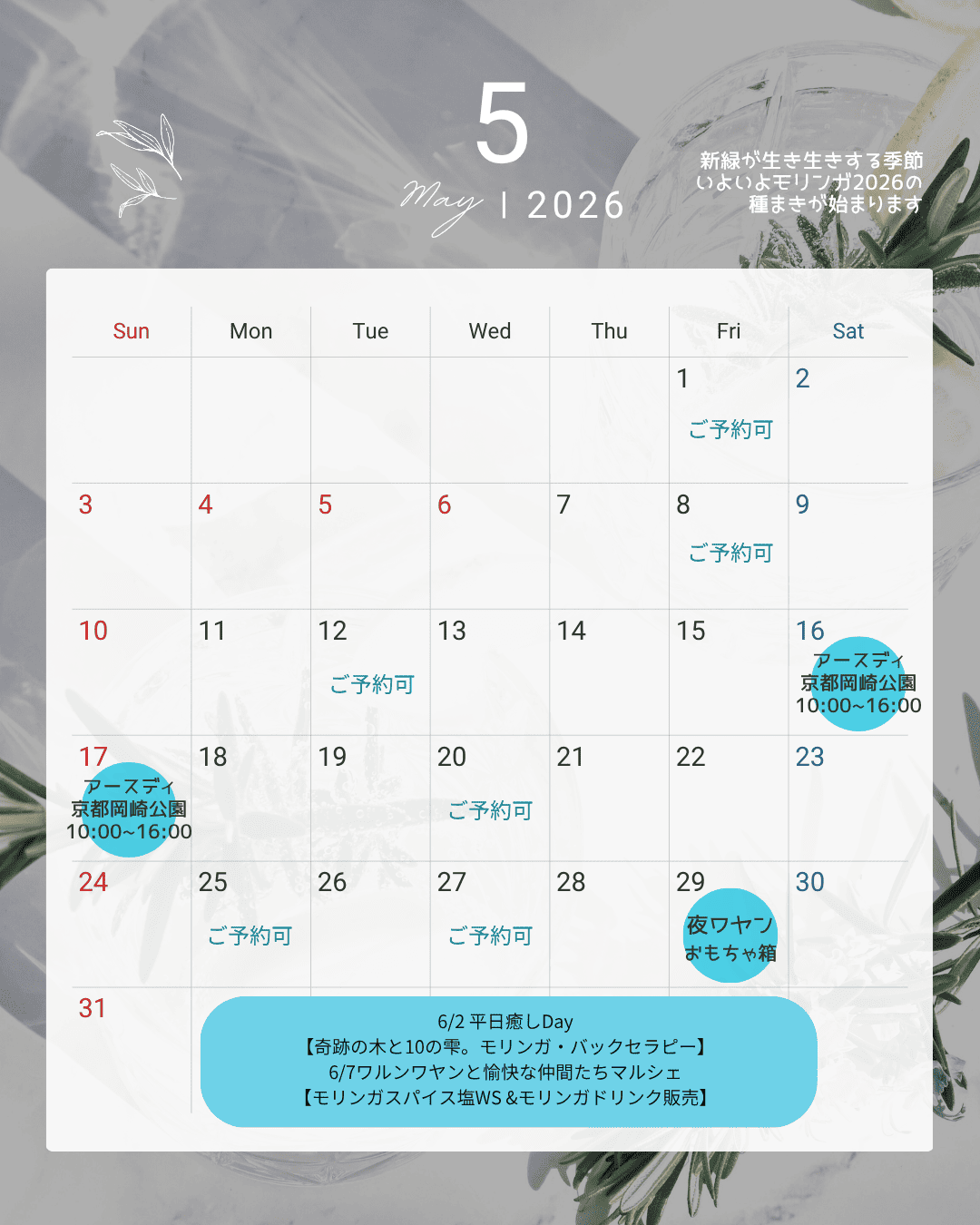 2026年5月のスケジュール