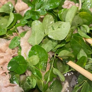 【モリンガの食べ方】生葉（葉っぱ）・乾燥葉（茶葉）・パウダーの美味しい食べ方・料理をご紹介