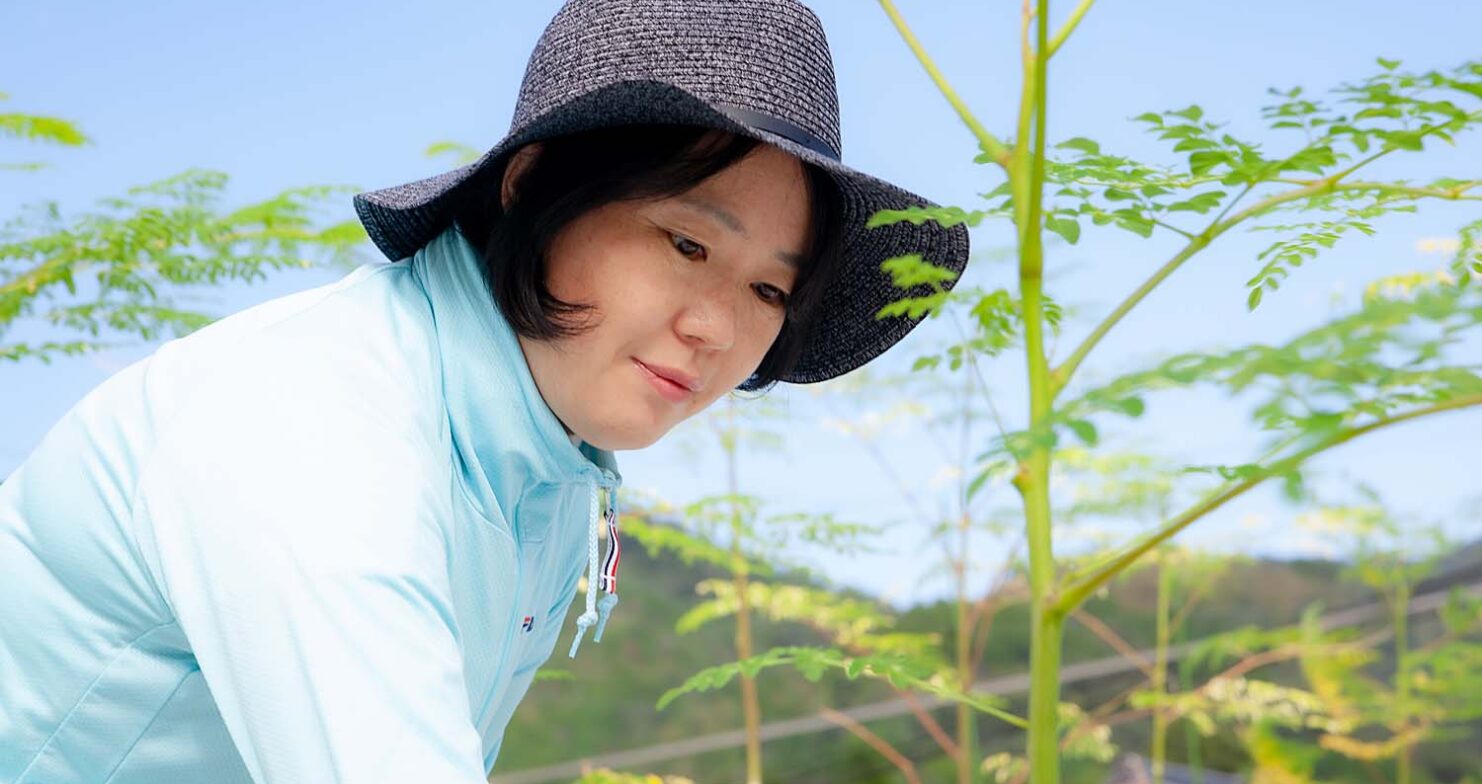 はじめての『おちよの奥京都モリンガ畑』ストーリー