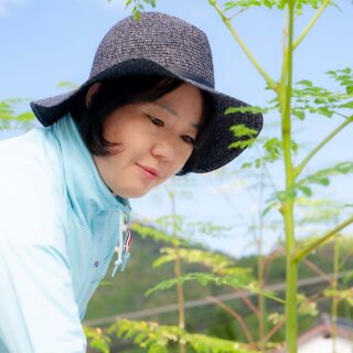 はじめての『おちよの奥京都モリンガ畑』ストーリー