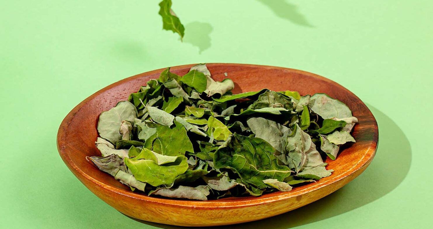 【モリンガをもっと日常に】健康にいいのに続かない…そんな悩みから生まれた『ひとふりもりんが』