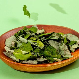 【モリンガをもっと日常に】健康にいいのに続かない…そんな悩みから生まれた『ひとふりもりんが』