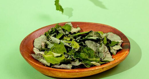 【モリンガをもっと日常に】健康にいいのに続かない…そんな悩みから生まれた『ひとふりもりんが』