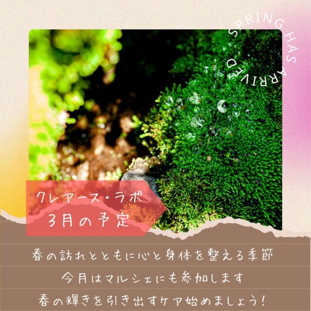 🌿 おちよの3月イベント予定 🌿

春の変化を楽しみながら、心と体を整える時間を一緒に過ごしませんか?
ここでしか体験できない モリンガの魅力 をたっぷりお届けします！✨

🛍 3/9・15 マルシェ出店
🌿 春のゆらぎを整える！モリンガ×アロマのヘアスプレー作り
その場で体験OK♪ 春の香りで気分もリフレッシュ！

💻 3/18 ZOOM開催
🌸 心地よく過ごす春の整え方 をモリンガと一緒に学ぼう！
新しい季節を軽やかに迎えるヒントが満載♪

さらに…
🍚 発酵の力！モリンガ麹作り
私と一緒にカレー麹、コンソメ麹、中華麹など作りましょう！

🌿 極上リラックス♪アロマタッチ体験
カレンダーの⭕️があるところはいつでも体験可能です！
揺らぎの季節は、健康を見直すいい機会です🩷

💄 ナチュラルケア♡モリンガコスメ作り 
ヘアスプレーだけでなく、リップやグロス、ファンデーション、保湿クリーム、バスソルトなどもokです😆

ワクワクの体験が続々登場！

🔽 こんな方におすすめ！ 🔽
✔️ 春のゆらぎを感じやすい方
✔️ なんとなく不調を感じている方
✔️ 心も体もスッキリしたい方
✔️ バスタイムをもっと特別な時間にしたい方

気になる方は、ぜひ一緒に楽しみましょう♪💌 DMでお気軽にお問い合わせくださいね✨

#モリンガオイル 
#福知山ワークショップ
#健康を意識
#自分を整える 
#春のゆらぎ肌