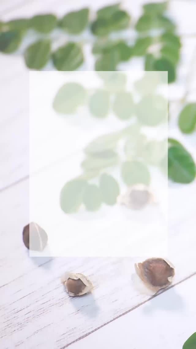 【⚠️ 精油の力を活かせてますか？】
モリンガが主役！冬の不調に「届ける」アロマケア講座を開催します。

「せっかくの精油が活きてない…」「冬の乾燥・冷えが怖い」と感じていませんか？

アロマの鍵は、まず身体を温め、最適な運び手（キャリアオイル）で届けること。

おちよがモリンガを使う理由は、
その**「最高の浸透力と安定性」**にあります。
あなたの手の温もりを最大限に活かせる講座です☆

📣 10/29(日) 開催！
モリンガで学ぶ 季節の変わり目アロマケア

【3つの集中レッスン】
1. 🌡️ 温活の土台： 冷えやすい身体を芯から温めるアロマメソッドを習得。
2. ✨ モリンガの力： 精油成分を肌にしっかり定着させる驚きの仕組みを解説。
3. 🛁 温活ソルト実習： 温め×高保湿モリンガで、冬の乾燥知らずへ。

【得られる最大の成果】
「なんとなくアロマ」を卒業！この冬を確かな知識と温もりで心地よく乗り切る自信が手に入ります。

💎 【特別なご案内】次の癒やしへ
10/29でセルフケアを学んだ後は、プロの手でさらに深くリラックスを。

🗓️ 11月3日（祝）：癒しday
✨ 10/29参加者は【特別価格】でご案内！
満席間近！ この冬のセルフケアを完璧にするチャンスです。

👉 ご予約・詳細はプロフィールURLからどうぞ！

#温活 #モリンガ #精油の知識  #乾燥対策